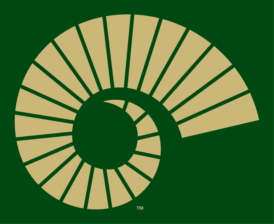 Colorado State Rams 2015-Pres Alternate Logo v4 iron on transfers for T-shirts